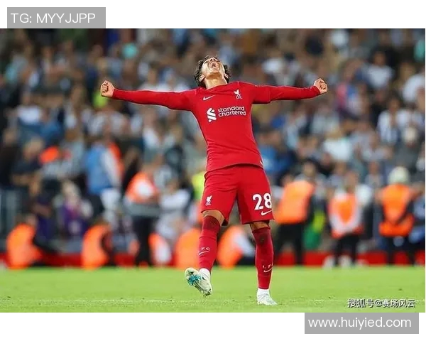 努涅斯在赛场上的崛起与挑战解析，展望未来的职业生涯发展与可能性